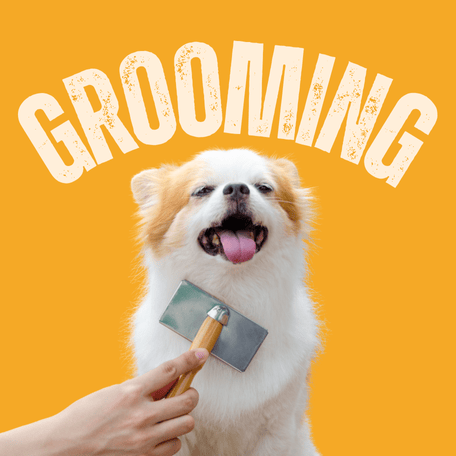 grooming in Australia
