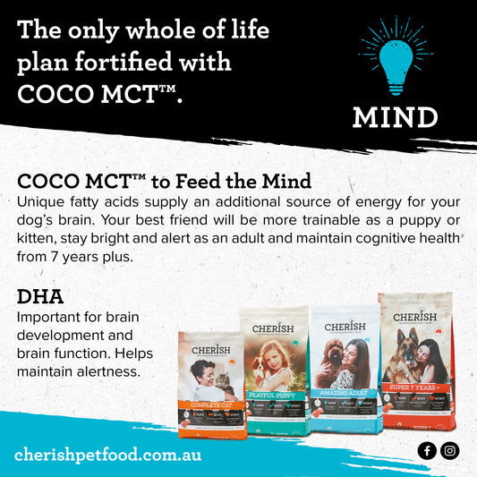 Cherish Amazing Adult: Small Bites