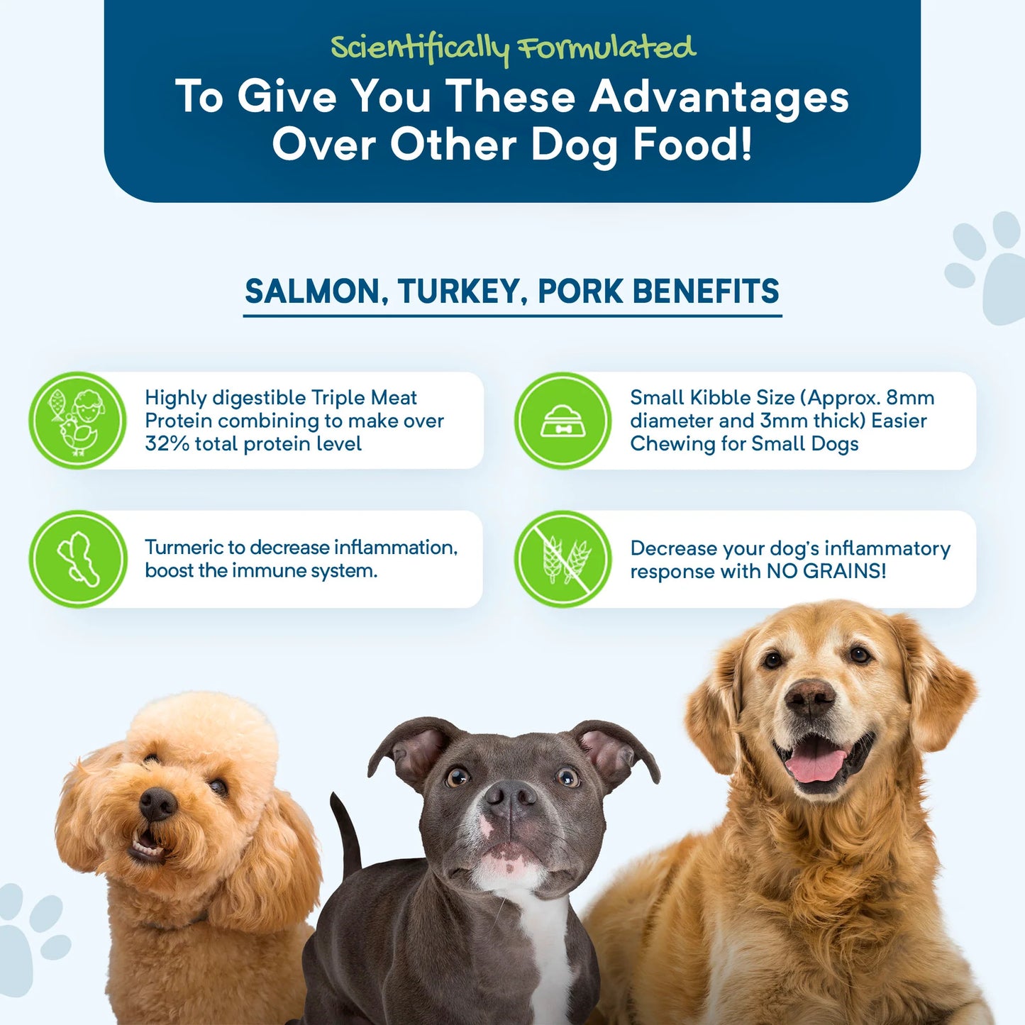 Stay Loyal Holistic Blend: Salmon, Turkey & Pork Grain Free
