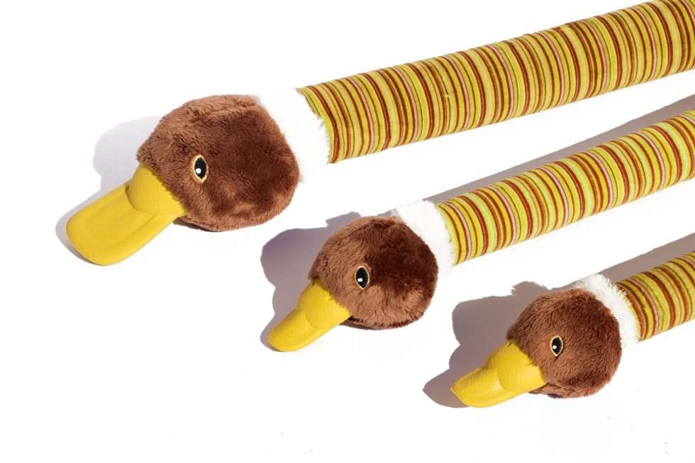 Durable Dog Chew Toy, Squeaky Dog Toy, Interactive Dog Plaything