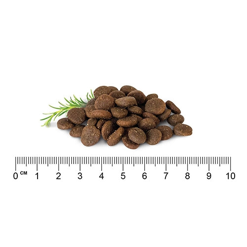 Stay Loyal Holistic Blend: Salmon, Turkey & Pork Grain Free