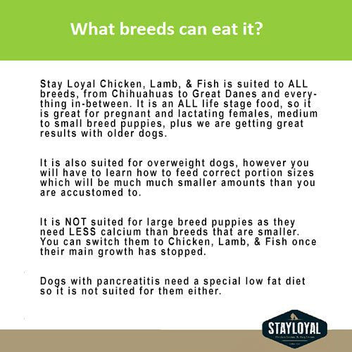 Stay Loyal Holistic Blend: Chicken, Lamb & Fish Grain Free