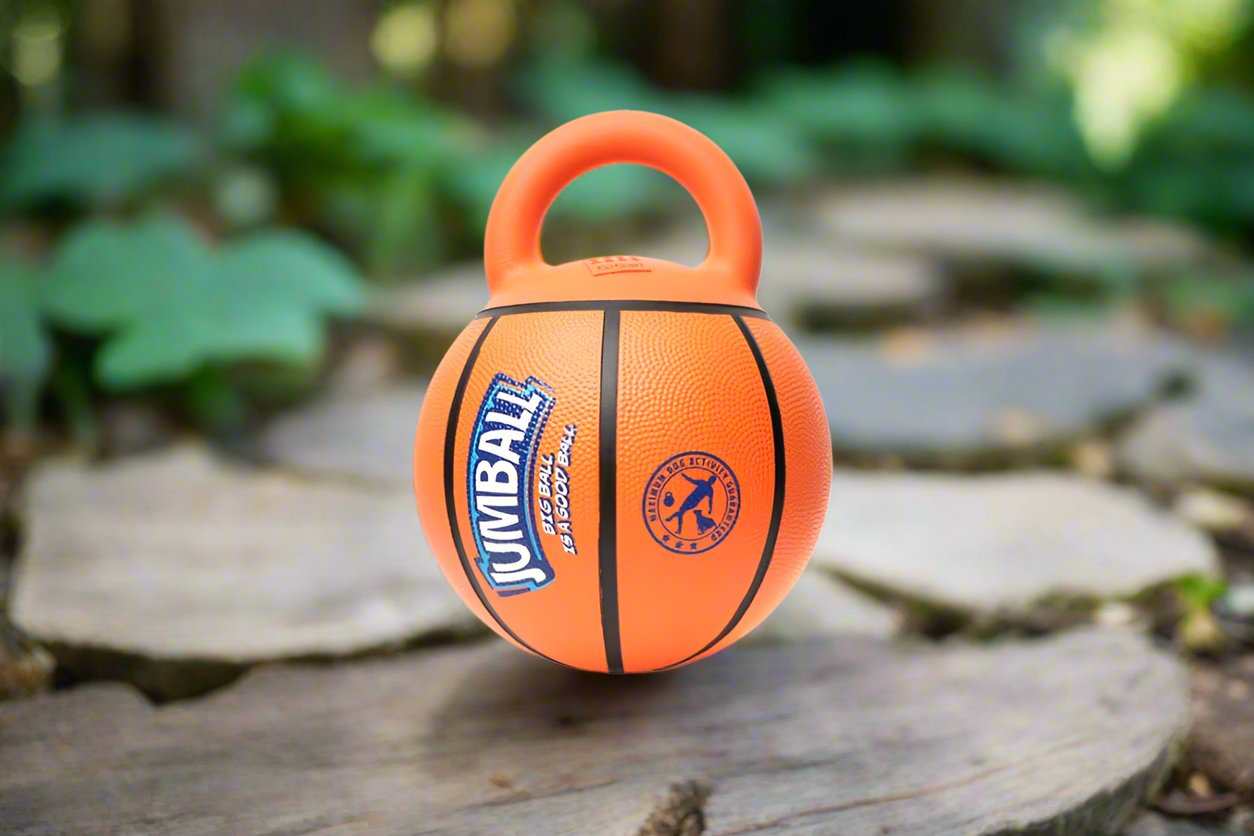 GiGwi Jumball Basketball