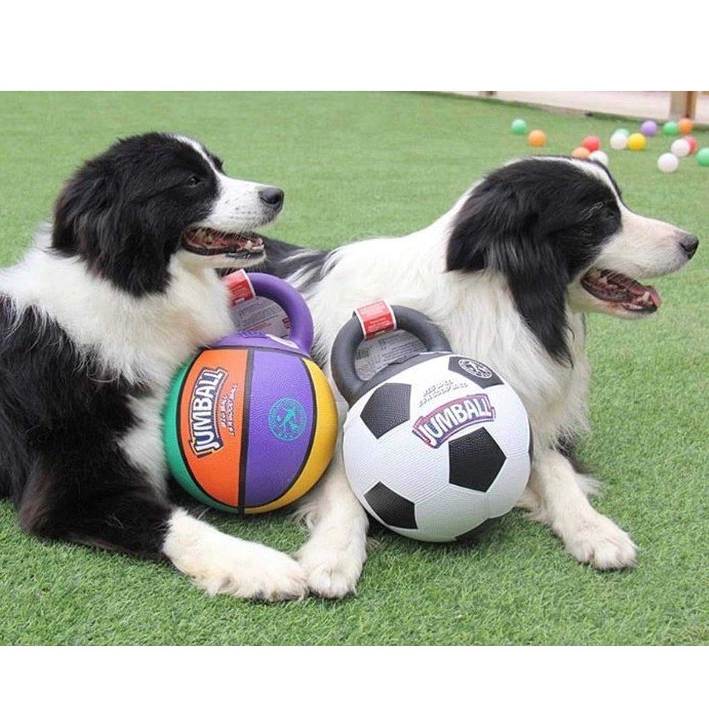 Interactive dog toy: GiGwi Jumball Soccer Ball for endless fun and exercise, Durable dog soccer ball: Perfect for fetch and playtime, The ultimate dog toy for active pups.