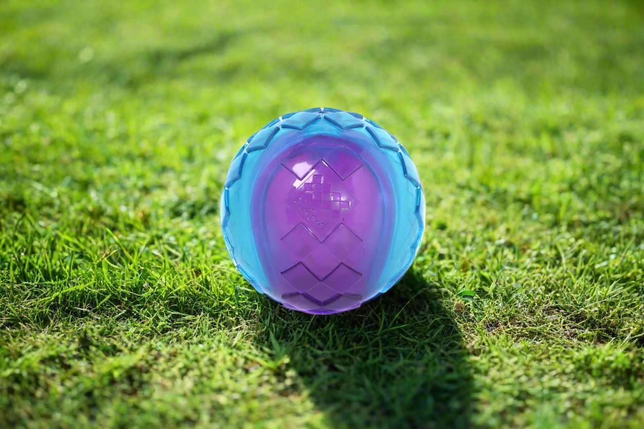 GiGwi Original Fetch Ball for dogs, featuring a durable Thermoplastic Rubber (TPR) construction, bright colorful design, and an internal squeaker. The ball is shown floating in water, highlighting its versatility for both land and water play.