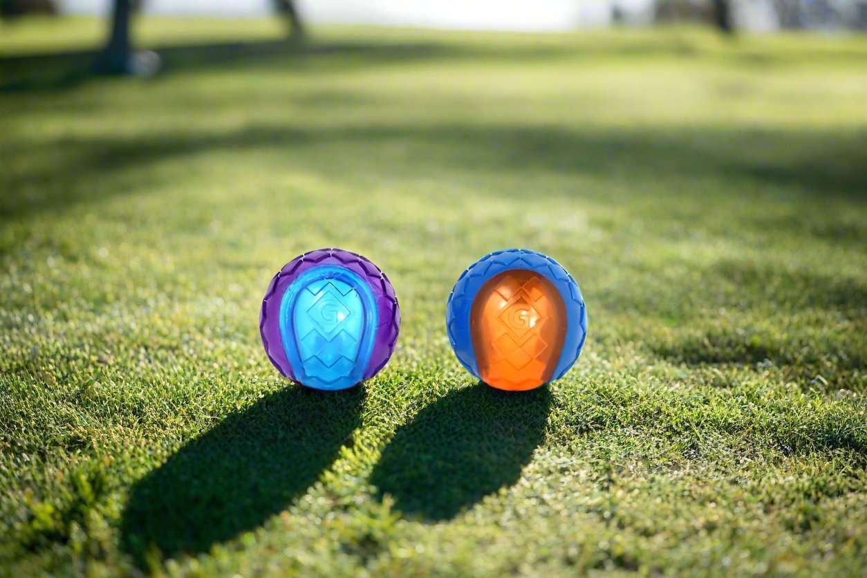 GiGwi Original Fetch Ball for dogs, featuring a durable Thermoplastic Rubber (TPR) construction, bright colorful design, and an internal squeaker. The ball is shown floating in water, highlighting its versatility for both land and water play.