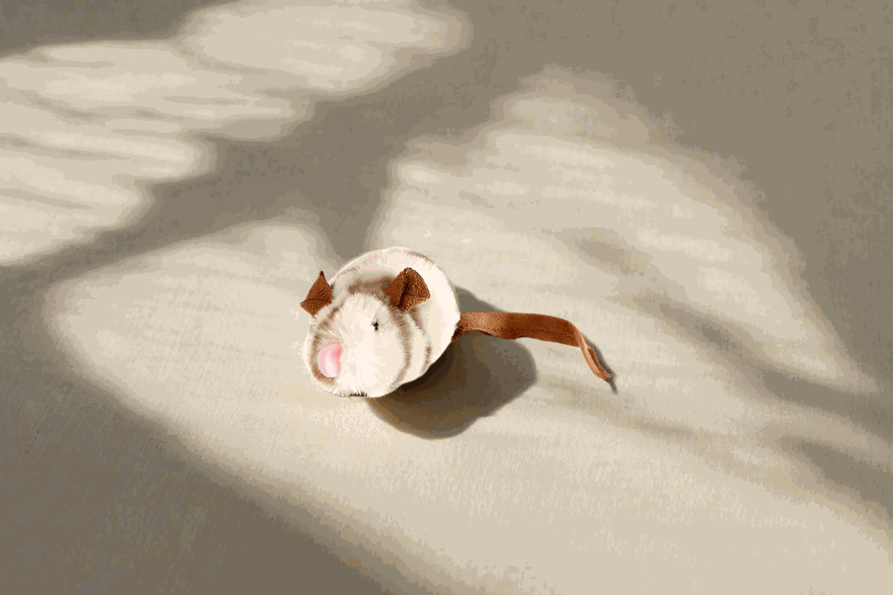 Colorful cat toy with jingling bells and crinkle paper. The Gigwi Melody Chaser Mouse will keep your kitty entertained for hours.