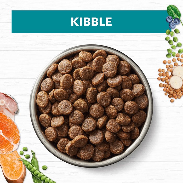 Ivory Coat Grain Free: Salmon & Ocean Fish for Sensitive Dogs