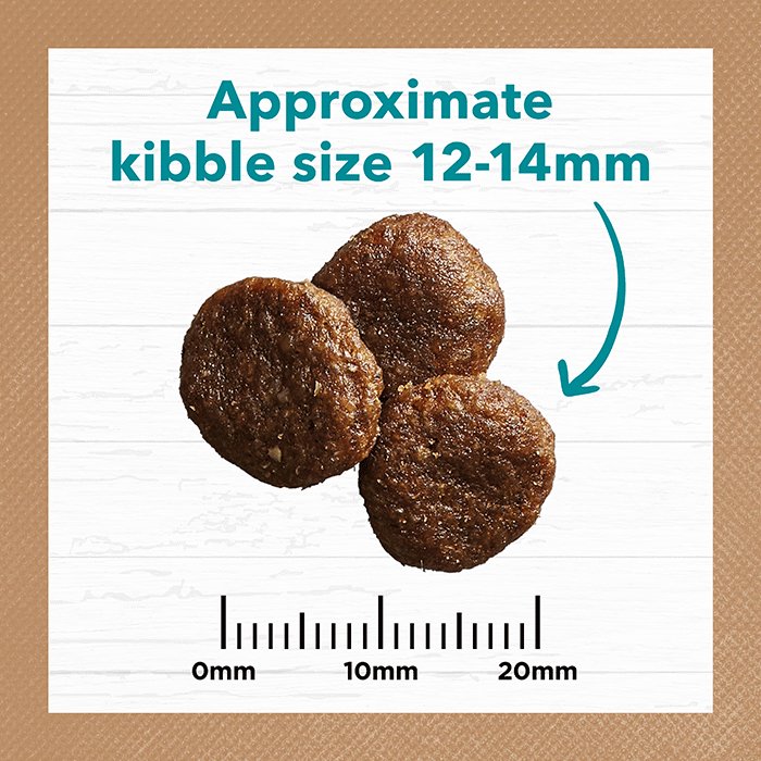 Ivory Coat Grain Free: Salmon & Ocean Fish for Sensitive Dogs