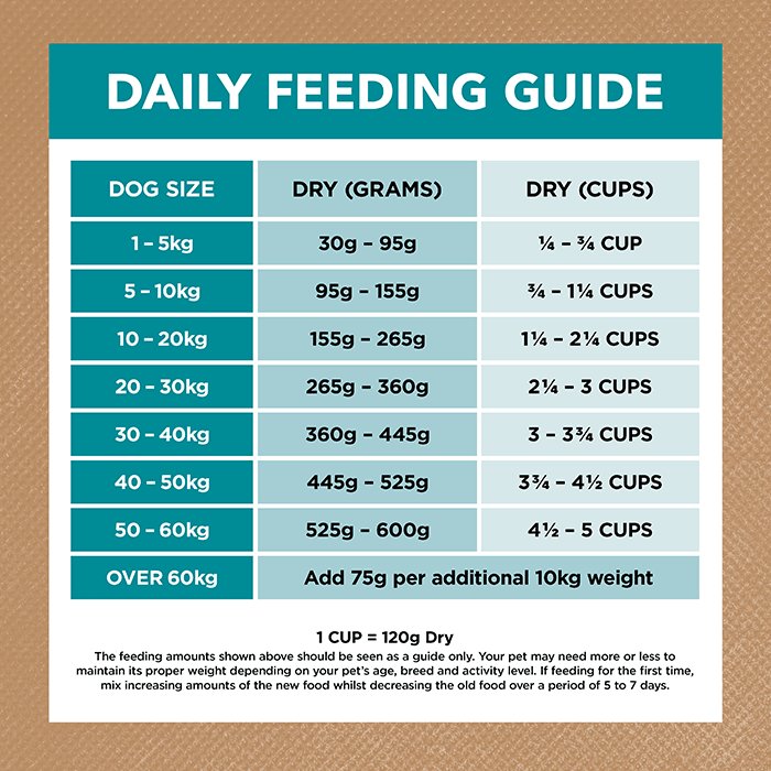 Ivory Coat Grain Free: Salmon & Ocean Fish for Sensitive Dogs