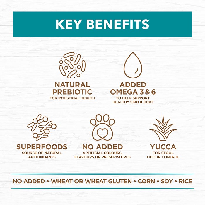 Ivory Coat Grain Free: Salmon & Ocean Fish for Sensitive Dogs