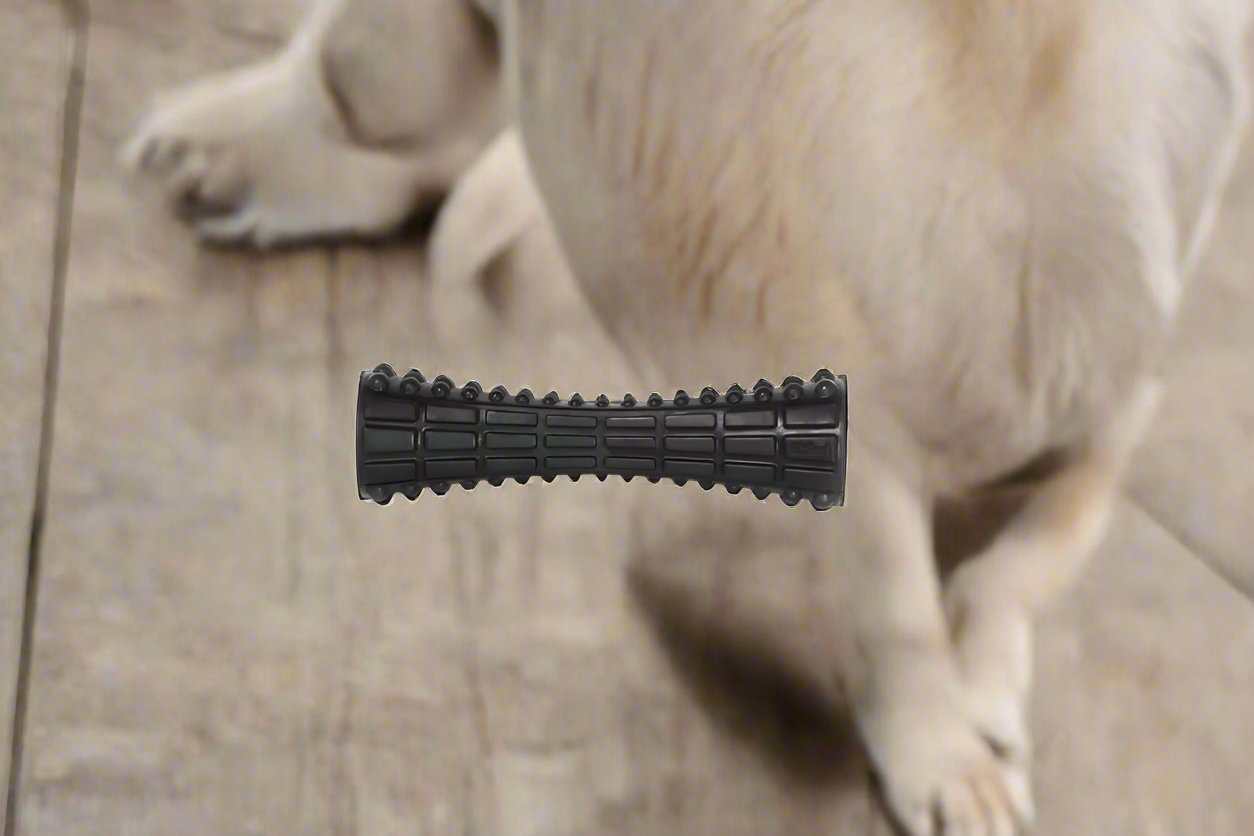 GiGwi Johnny Stick Durable Dog Toy, durable rubber chew toy with spikes, designed for aggressive chewers, helps clean teeth and gums, promotes dental health