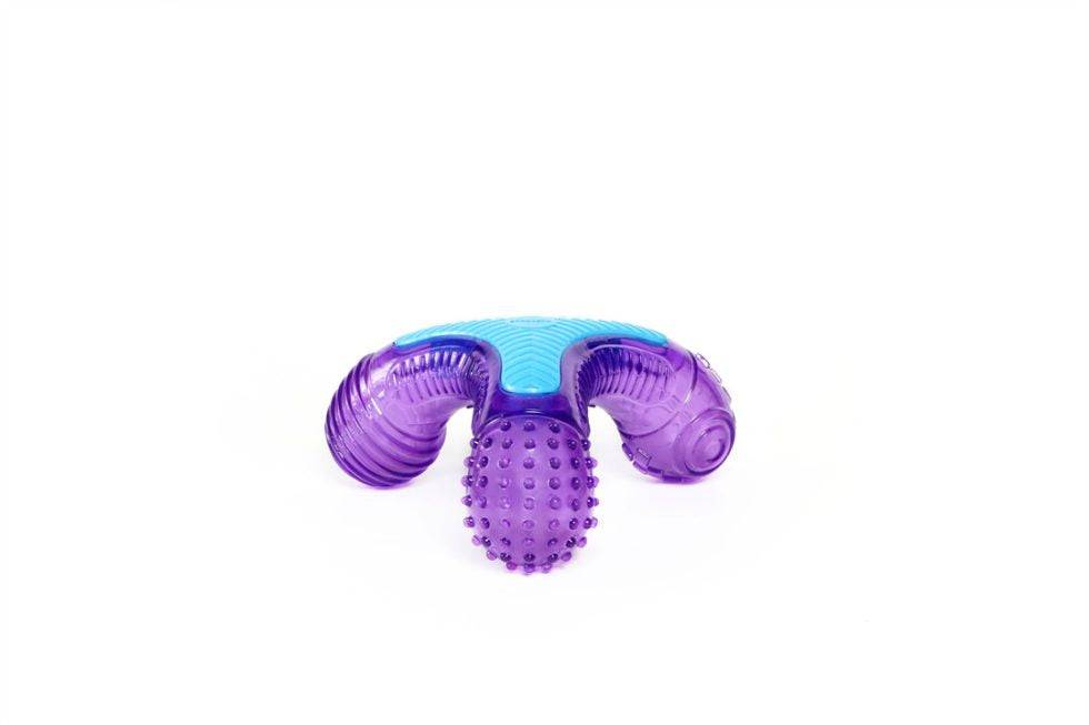 GiGwi Multi-Sound Bone Durable Dog Toy