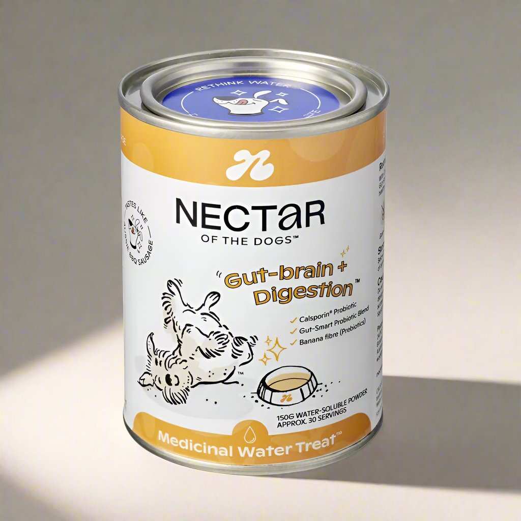 Nectar Of The Dogs Gut Brain Digestion Dog Powder 150g container with a label highlighting its premium, human-grade formula. The powder supports digestive health with probiotics, Fluvic acid, and prebiotic fiber. Shown with a flavor profile reminiscent of an Aussie BBQ sausage, ideal for dogs with digestive issues. The product is grain-free and free from fillers