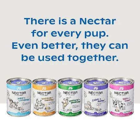 Nectar of the Dogs Skin + Coat Dog Soluble Powder 150g, featuring a human-grade formula with organic flaxseed, probiotics, and postbiotics. Designed to enhance skin health and coat shine, this grain-free powder is made in Australia and tastes like an Aussie BBQ sausage. Ideal for dogs with dull coats, dry skin, and excessive shedding.