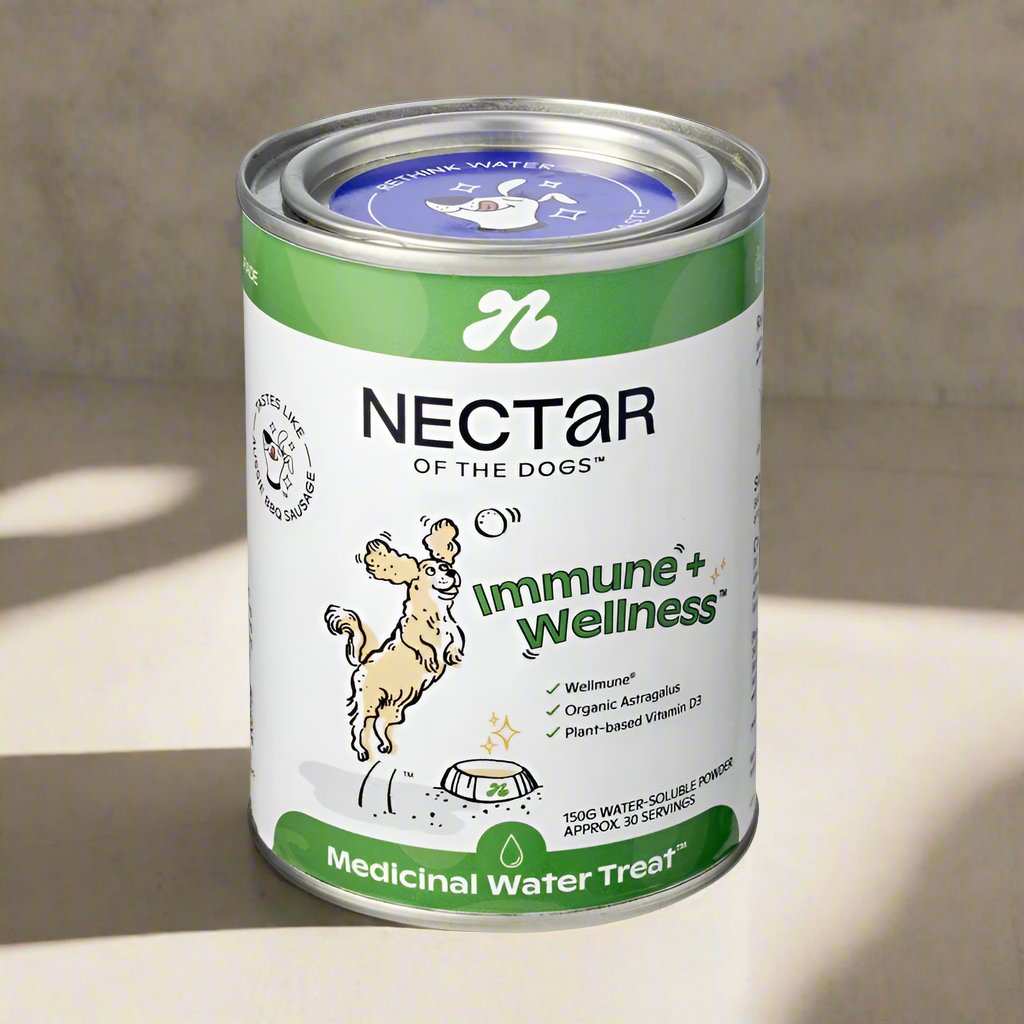 Nectar of the Dogs Immune + Wellness Dog Soluble Powder 150g, highly recommended for boosting canine immune health. Features human-grade ingredients, including Wellmune, Organic Astragalus, and medicinal mushrooms, in a tasty Aussie BBQ sausage flavor. Ideal for enhancing your dog’s wellness and easy to mix into food or water.