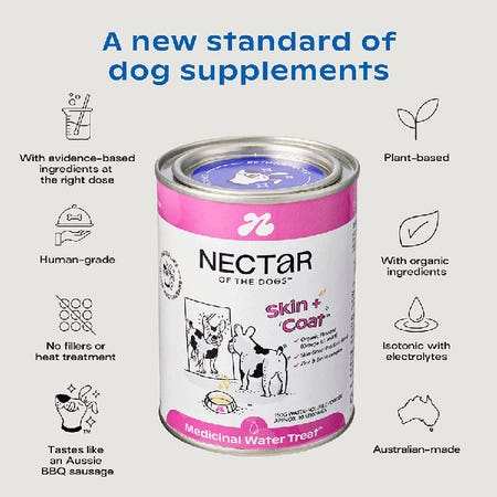 Nectar of the Dogs Skin + Coat Dog Soluble Powder 150g, featuring a human-grade formula with organic flaxseed, probiotics, and postbiotics. Designed to enhance skin health and coat shine, this grain-free powder is made in Australia and tastes like an Aussie BBQ sausage. Ideal for dogs with dull coats, dry skin, and excessive shedding.