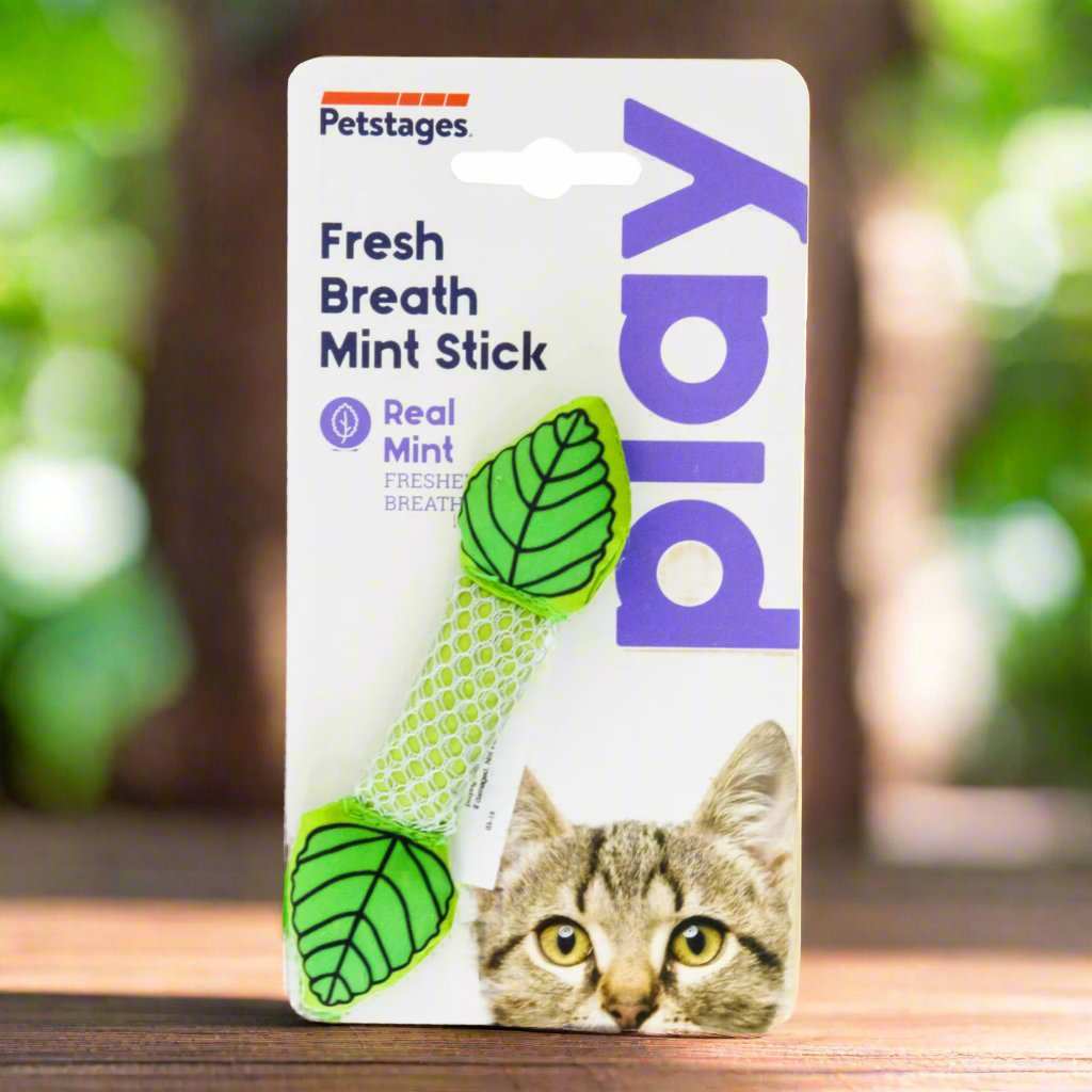 A close-up of the Petstages Fresh Breath Mint Stick, a natural dental chew toy for cats.