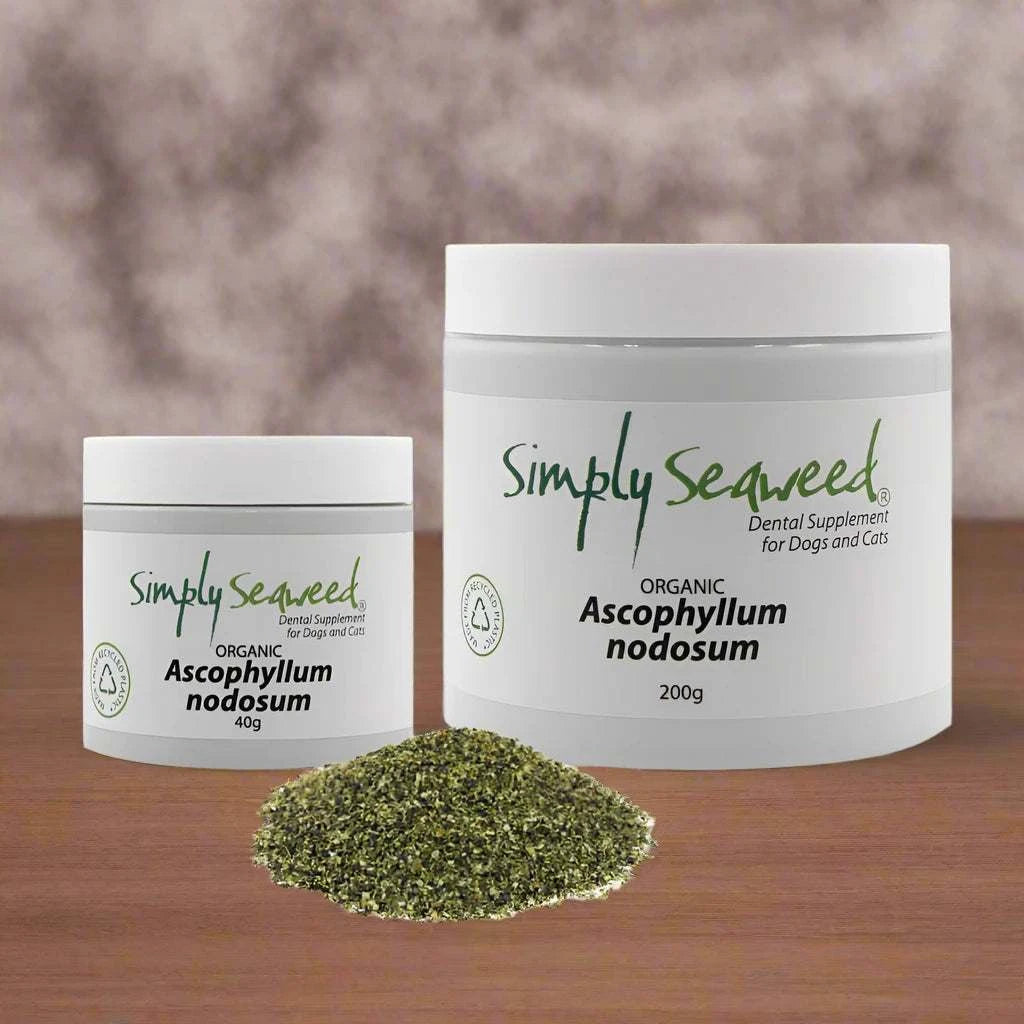 Simply Seaweed dental supplement for pets