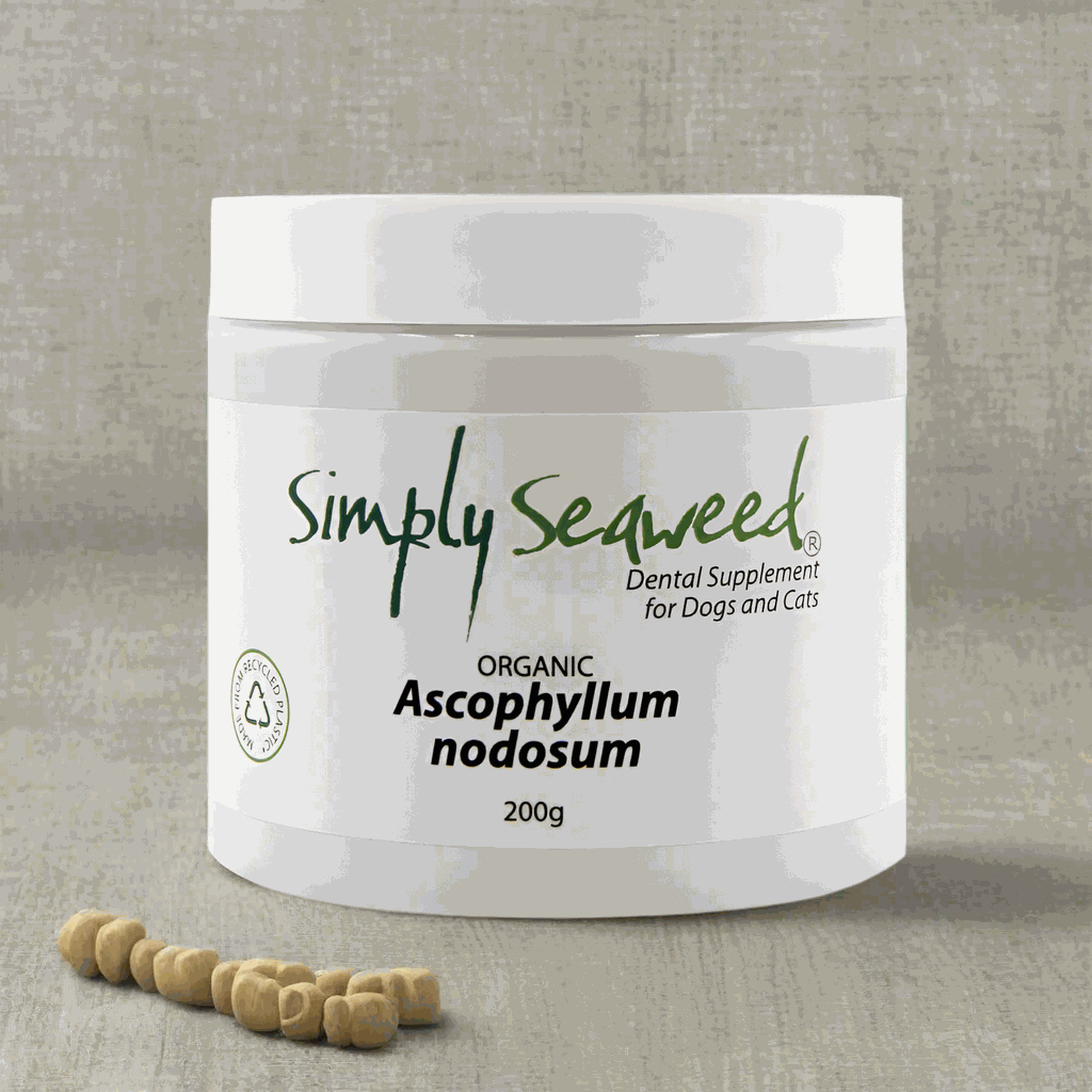 Eco-friendly pet dental care supplement