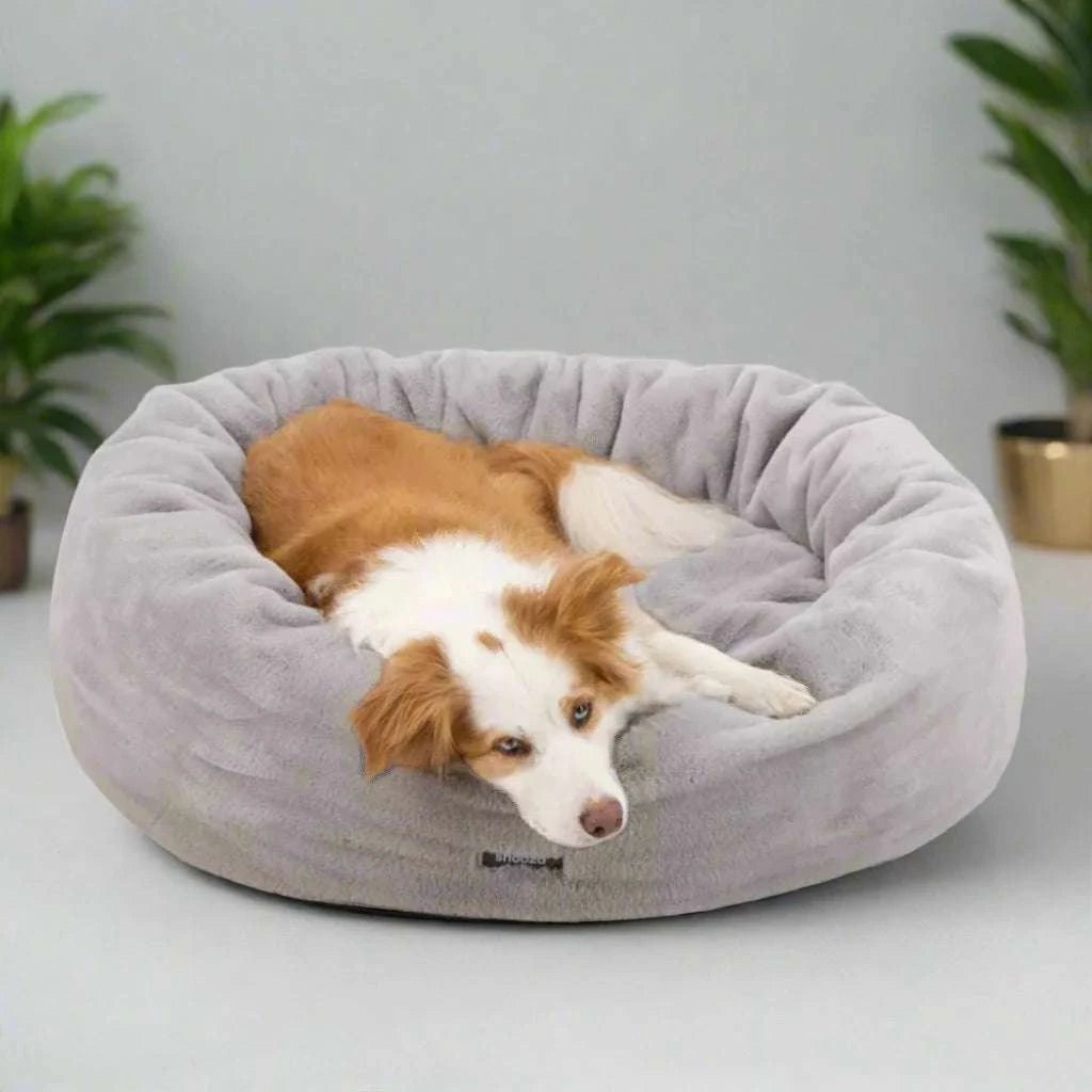 Luxury pet bed in short pile fur, designed for dogs and cats with a removable cover and non-slip bottom. Dog resting on it.