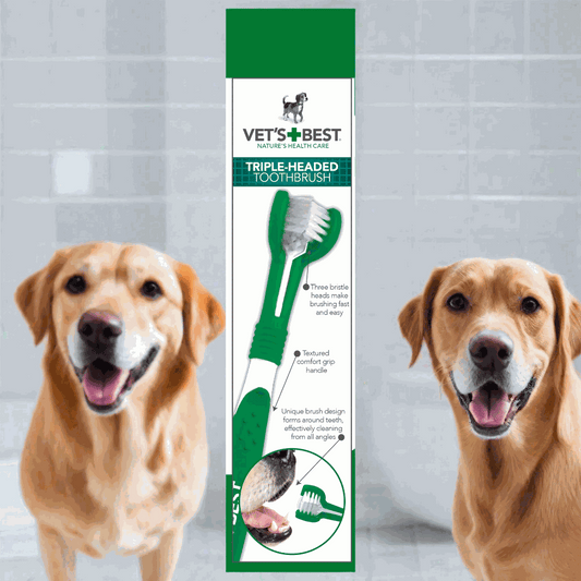 Triple-head dog toothbrush for efficient cleaning