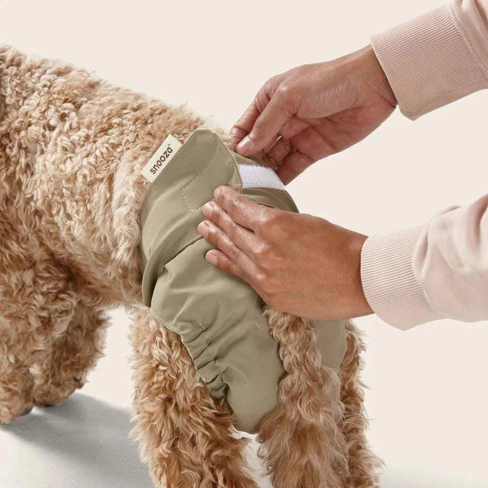 Snooza Washable Dog Nappy Twin Pack for Females