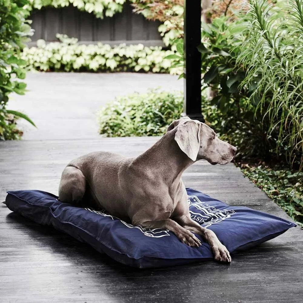 Snooza – Organic Futon Replacement Cover – Blue