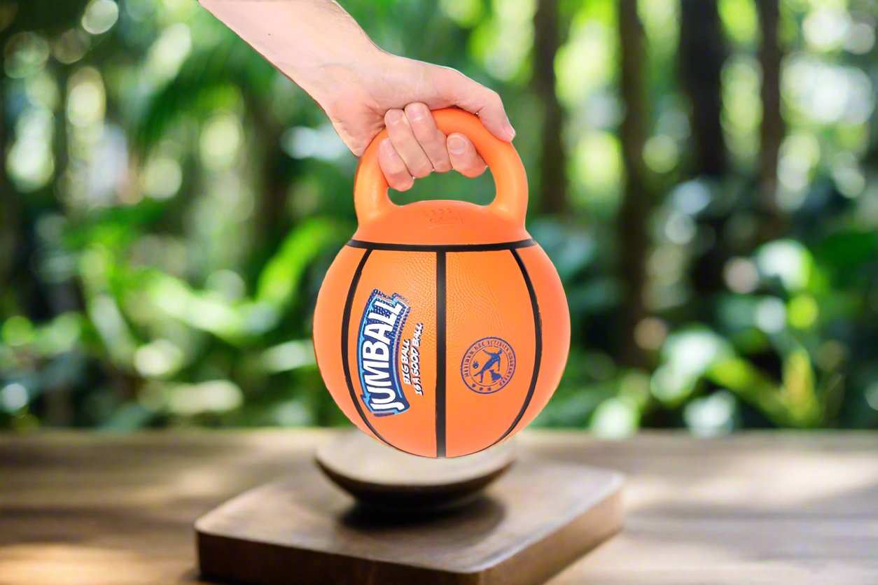 GiGwi Jumball Basketball