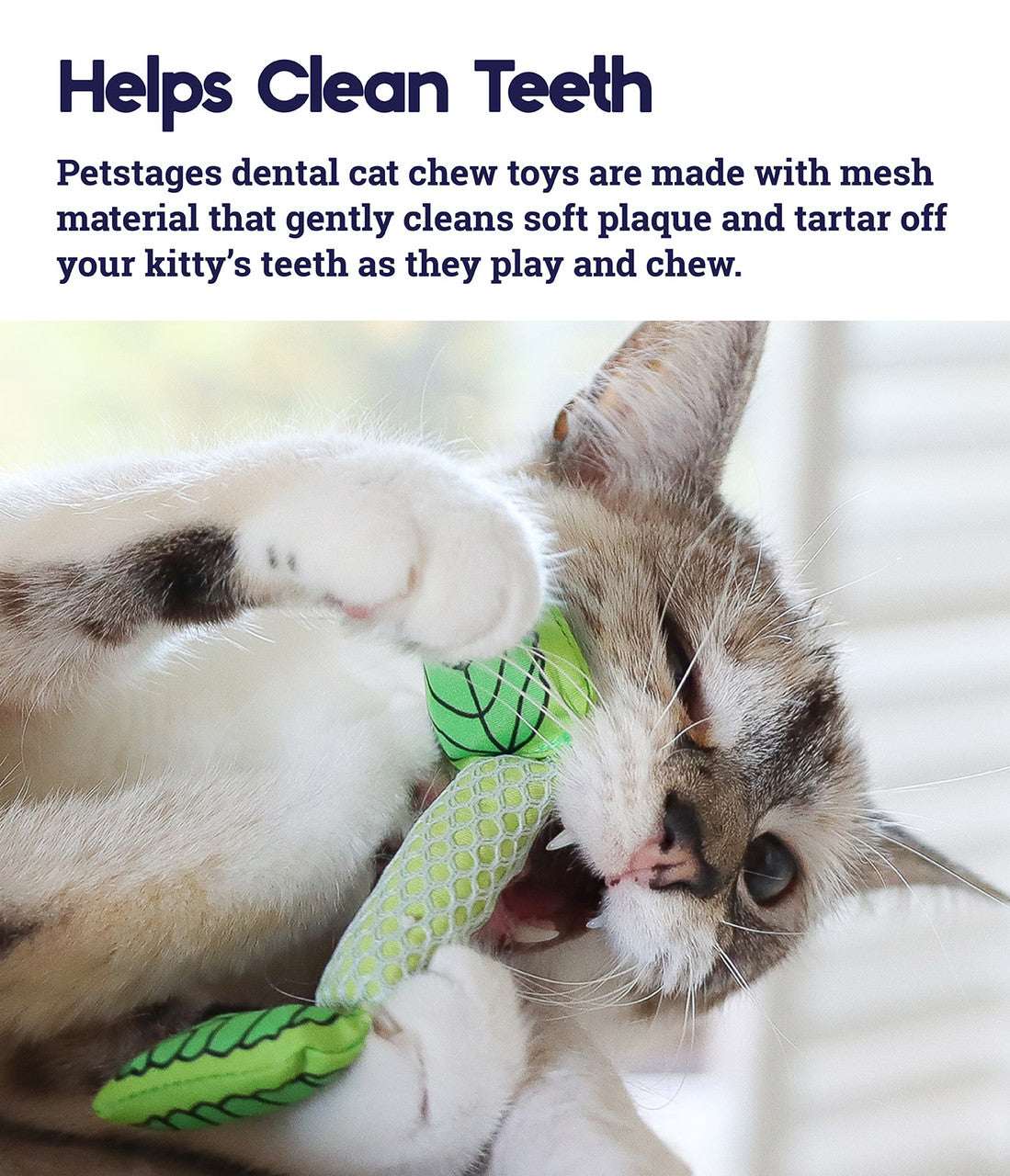A cat playing with a green, crinkle-filled chew toy filled with dried mint.