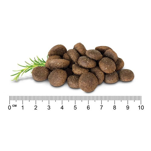 Stay Loyal Holistic Blend: Chicken, Lamb & Fish Grain Free
