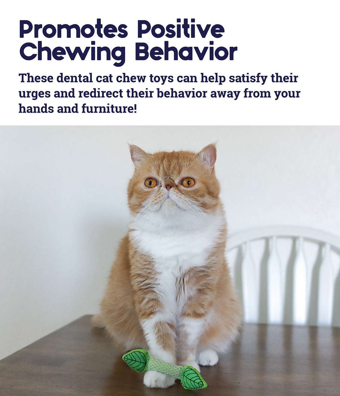 A cat playing with a green, crinkle-filled chew toy filled with dried mint.
A close-up of the Petstages Fresh Breath Mint Stick, a natural dental chew toy for cats.
A green, crinkle-filled chew toy with dried mint inside, designed to freshen a cat's breath and clean their teeth.
