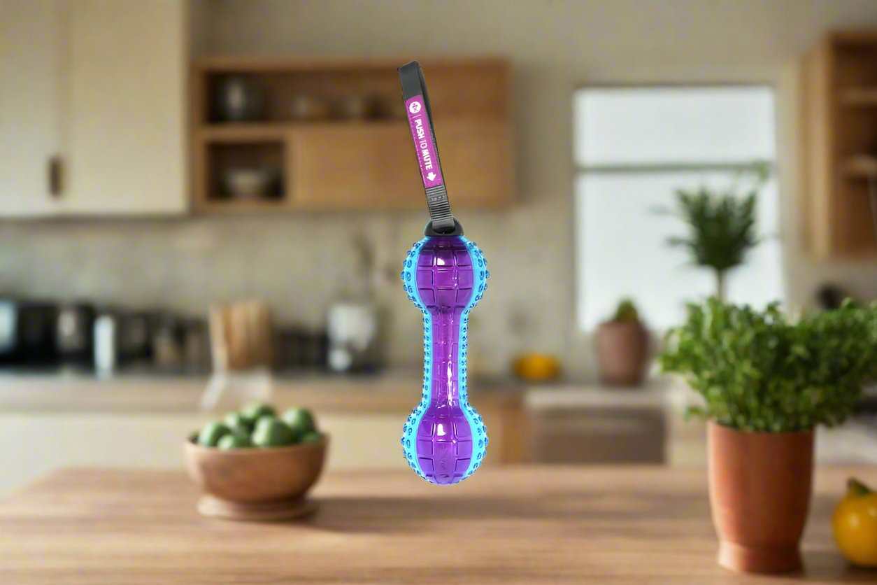 interactive dog toys," "smart dog toys," and "dog brain games."