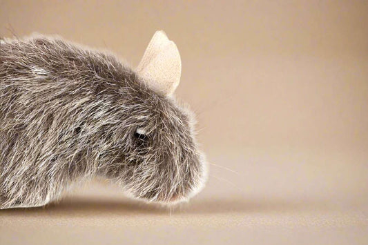 GiGwi Refillable Catnip Naturals Mouse Cat Toy - Eco-Friendly Cat Plaything with Refillable Catnip for Hours of Fun"