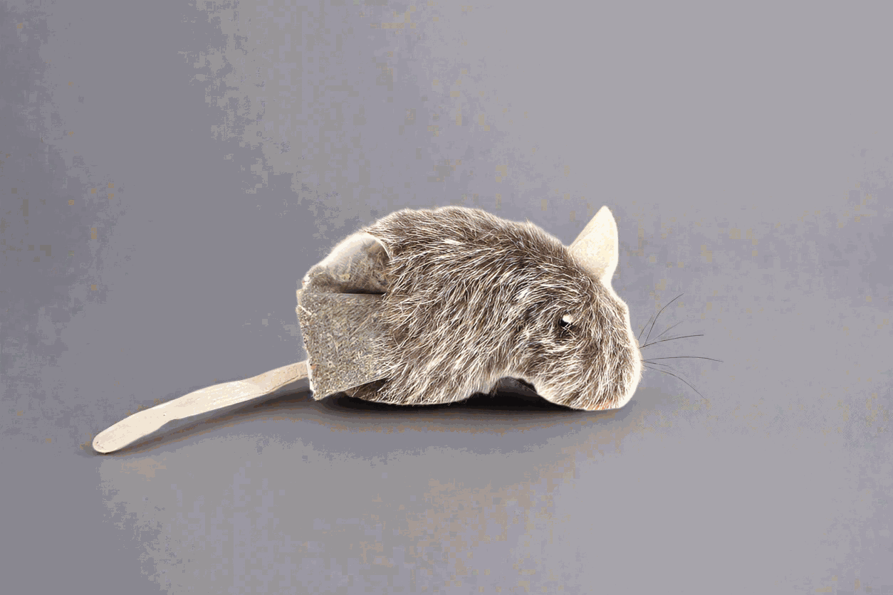 GiGwi Refillable Catnip Naturals Mouse Cat Toy - Eco-Friendly Cat Plaything with Refillable Catnip for Hours of Fun"