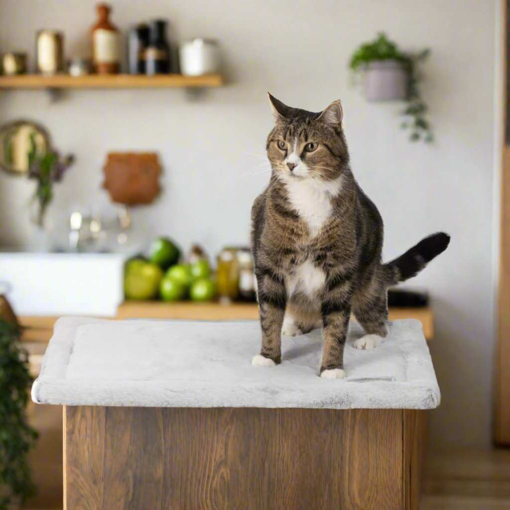 Snooza – Self Warming Cat Mat