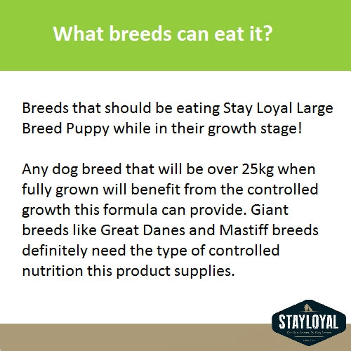 Stay Loyal Large Breed Puppy: Grain Free for Optimal Growth