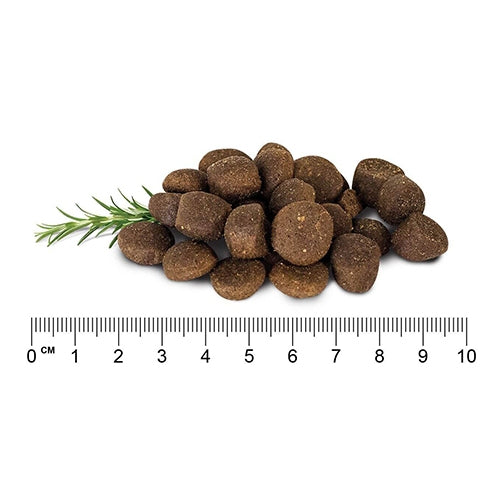 Stay Loyal Large Breed Puppy: Grain Free for Optimal Growth