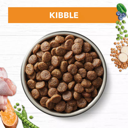 Ivory Coat Grain Free Chicken: Sensitive Digestion & Skin