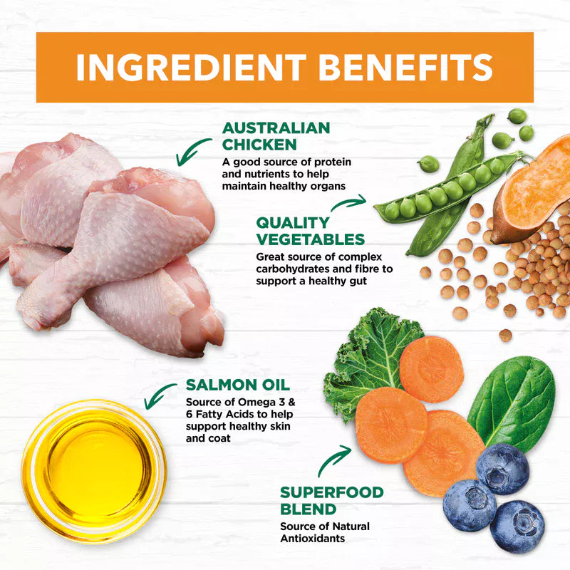 Ivory Coat Grain Free Chicken: Sensitive Digestion & Skin