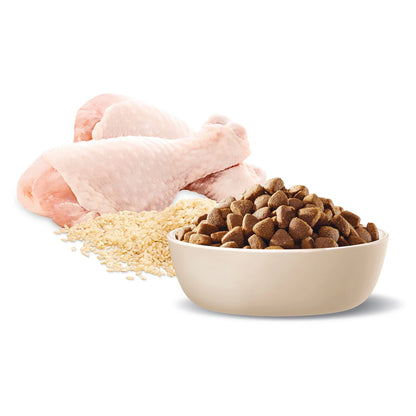 Advance Active Dog Food: High Protein & Energy for All Breeds