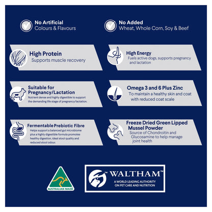 Advance Active Dog Food: High Protein & Energy for All Breeds