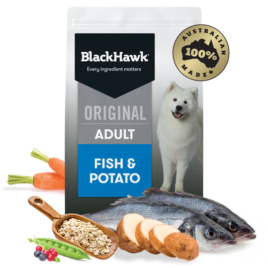 Adult dog with healthy skin eating Black Hawk Fish Potato kibble Alihan


