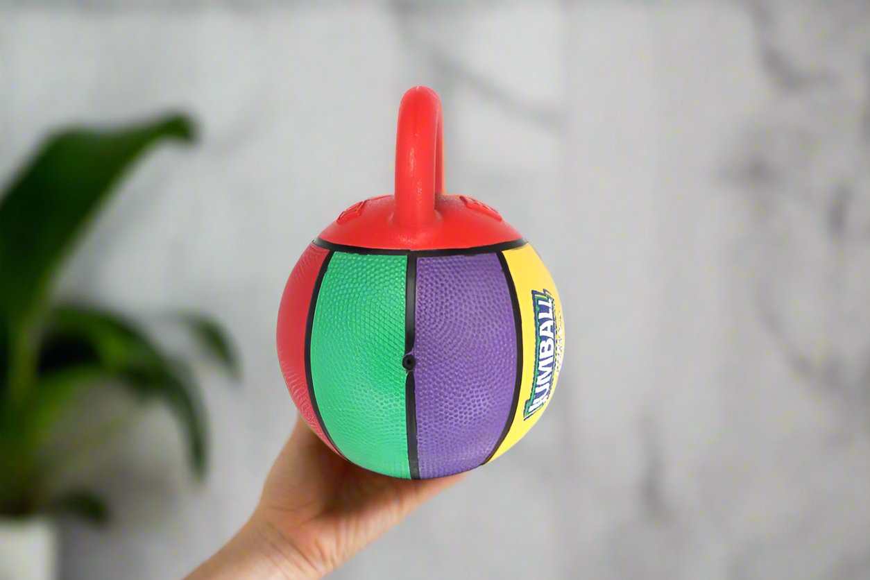 Dog toy, basketball, interactive, durable, plush, pet, pet supplies, dog accessories