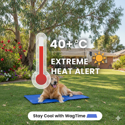 WagTime Self-Cooling Pet Mat