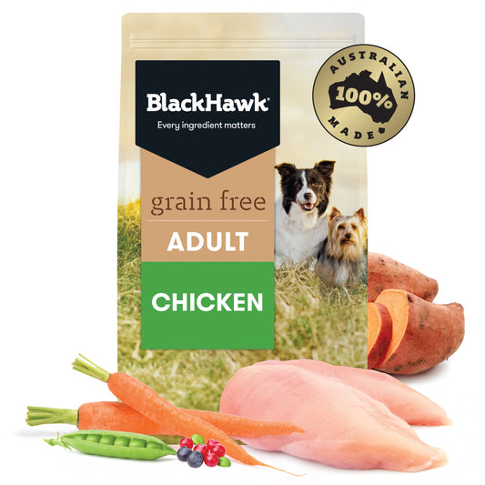 Adult dog with healthy coat eating Black Hawk Chicken kibble Alihan

