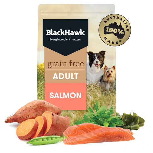 Black Hawk Grain Free Salmon adult dog food bag Alihan

