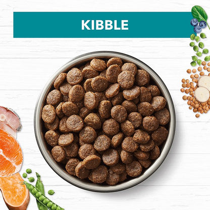 Ivory Coat Grain Free: Salmon & Ocean Fish for Sensitive Dogs