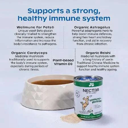Nectar of the Dogs Immune + Wellness Dog Soluble Powder 150g, highly recommended for boosting canine immune health. Features human-grade ingredients, including Wellmune, Organic Astragalus, and medicinal mushrooms, in a tasty Aussie BBQ sausage flavor. Ideal for enhancing your dog’s wellness and easy to mix into food or water.