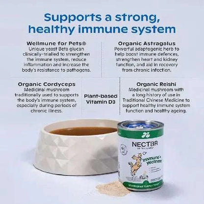Nectar of the Dogs Immune + Wellness Dog Soluble Powder 150g, highly recommended for boosting canine immune health. Features human-grade ingredients, including Wellmune, Organic Astragalus, and medicinal mushrooms, in a tasty Aussie BBQ sausage flavor. Ideal for enhancing your dog’s wellness and easy to mix into food or water.
